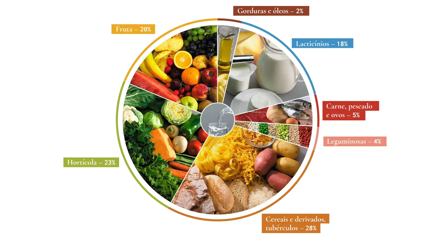 roda-dos-alimentos-dgs