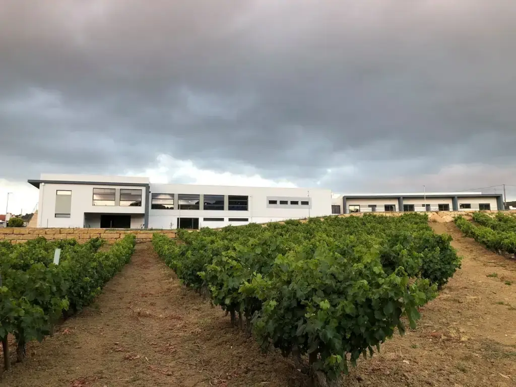 barro-senior-residence-vinhas