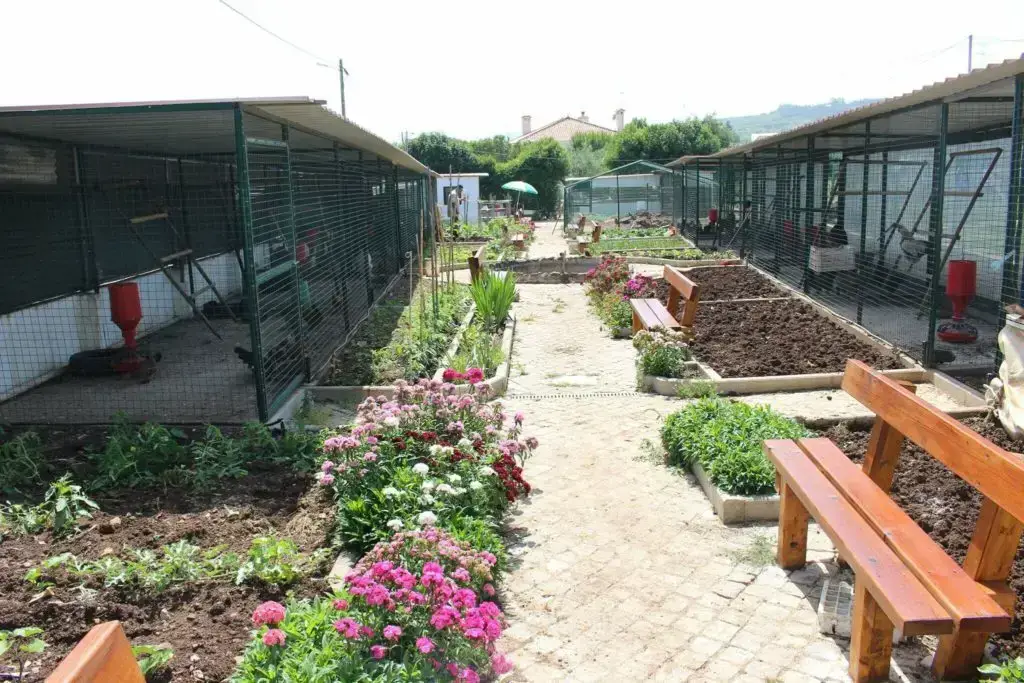 casa-de-repouso-casal-das-rosas-jardim