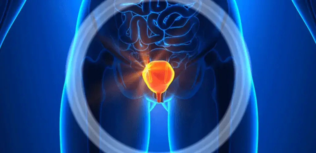 Incontinência Urinária: Causas e Tratamentos