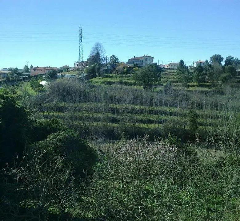 lar-fundacao-isabel-domingues-vista