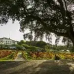 quinta-das-giestas-lar-de-idosos