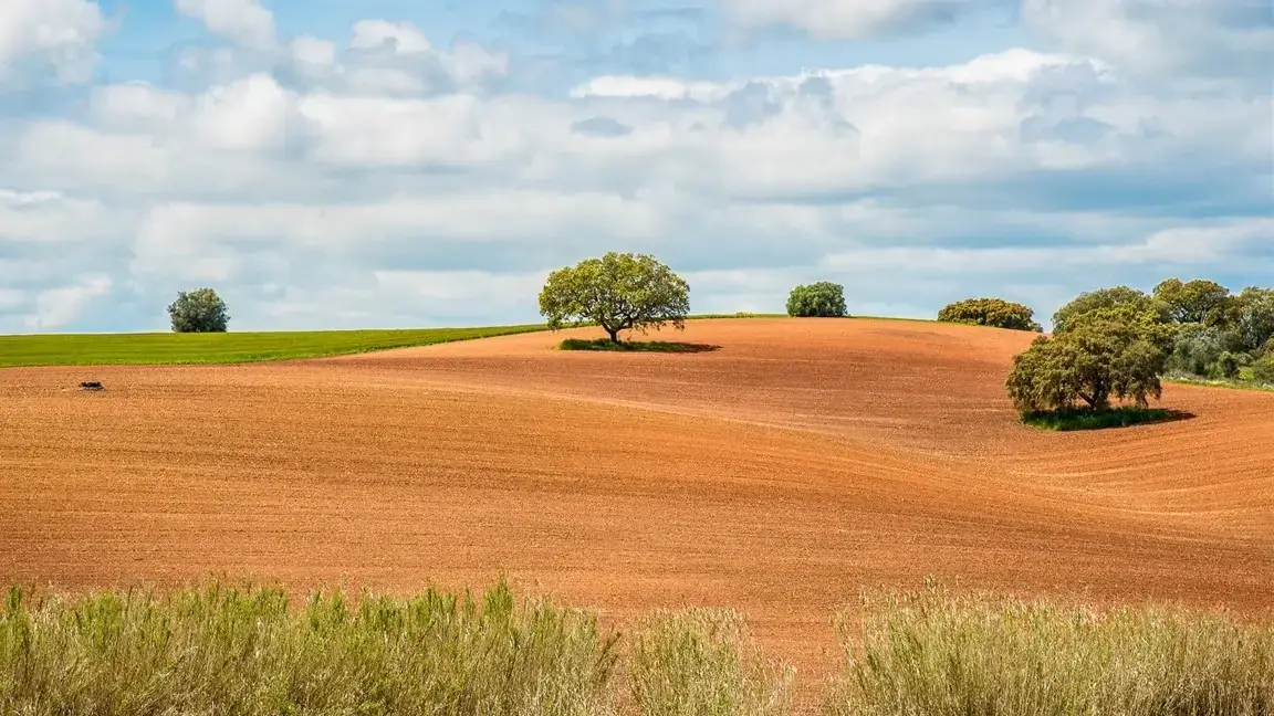 Guia Completo Melhores Lares de Idosos no Alentejo