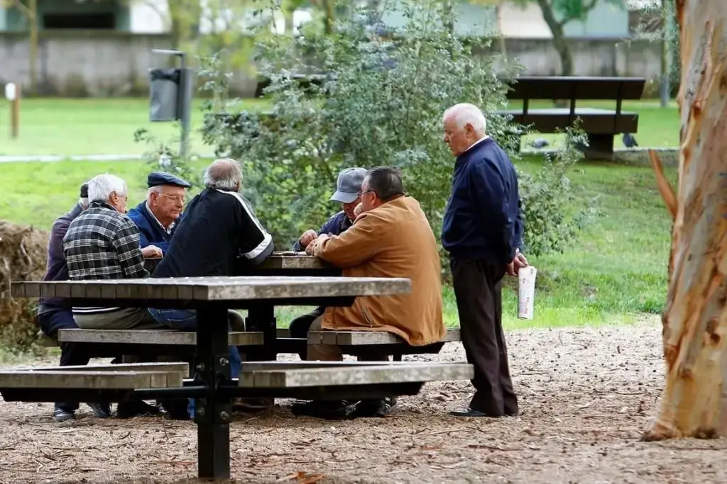 Complemento Solidário para Idosos em 2025 O Que Precisa de Saber