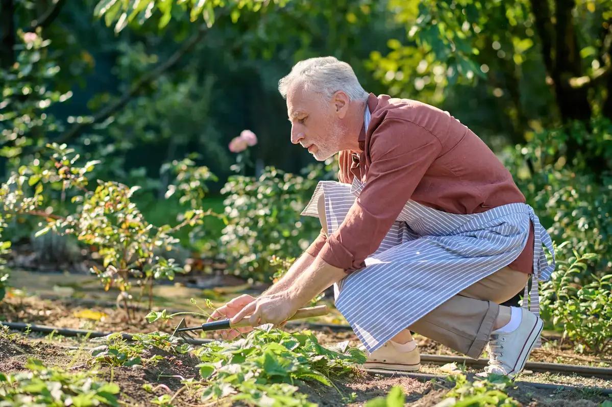 Benefícios da jardinagem para os idosos uma terapia natural