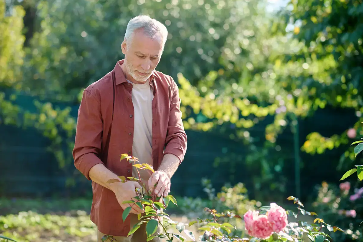Jardinagem como terapia para idosos com doenças