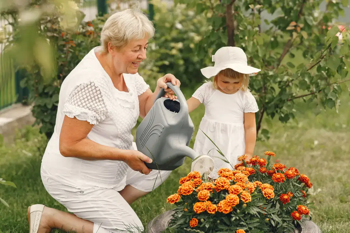 Os Benefícios da Primavera para os Idosos