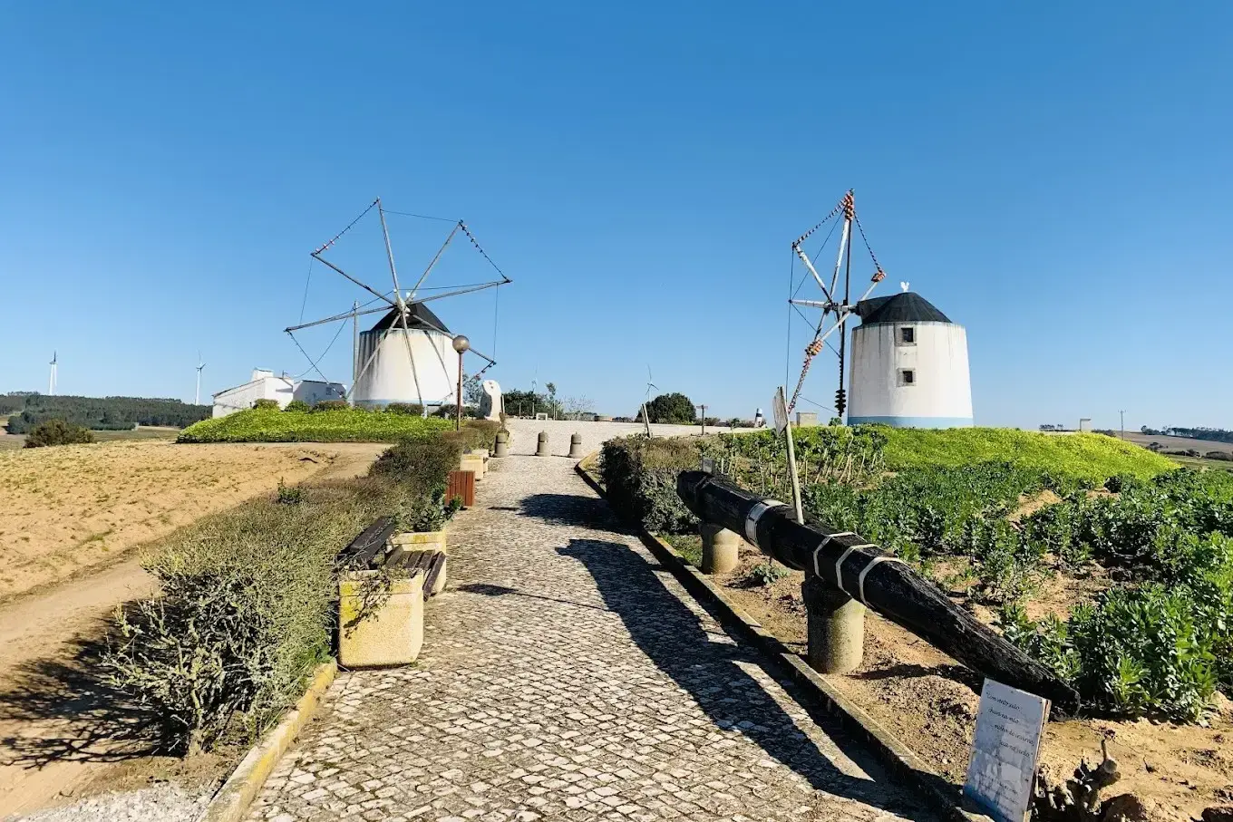 Moinhos de vento da Pinhôa na Lourinhã