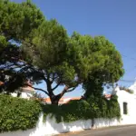 quinta-da-encosta-residence-fachada