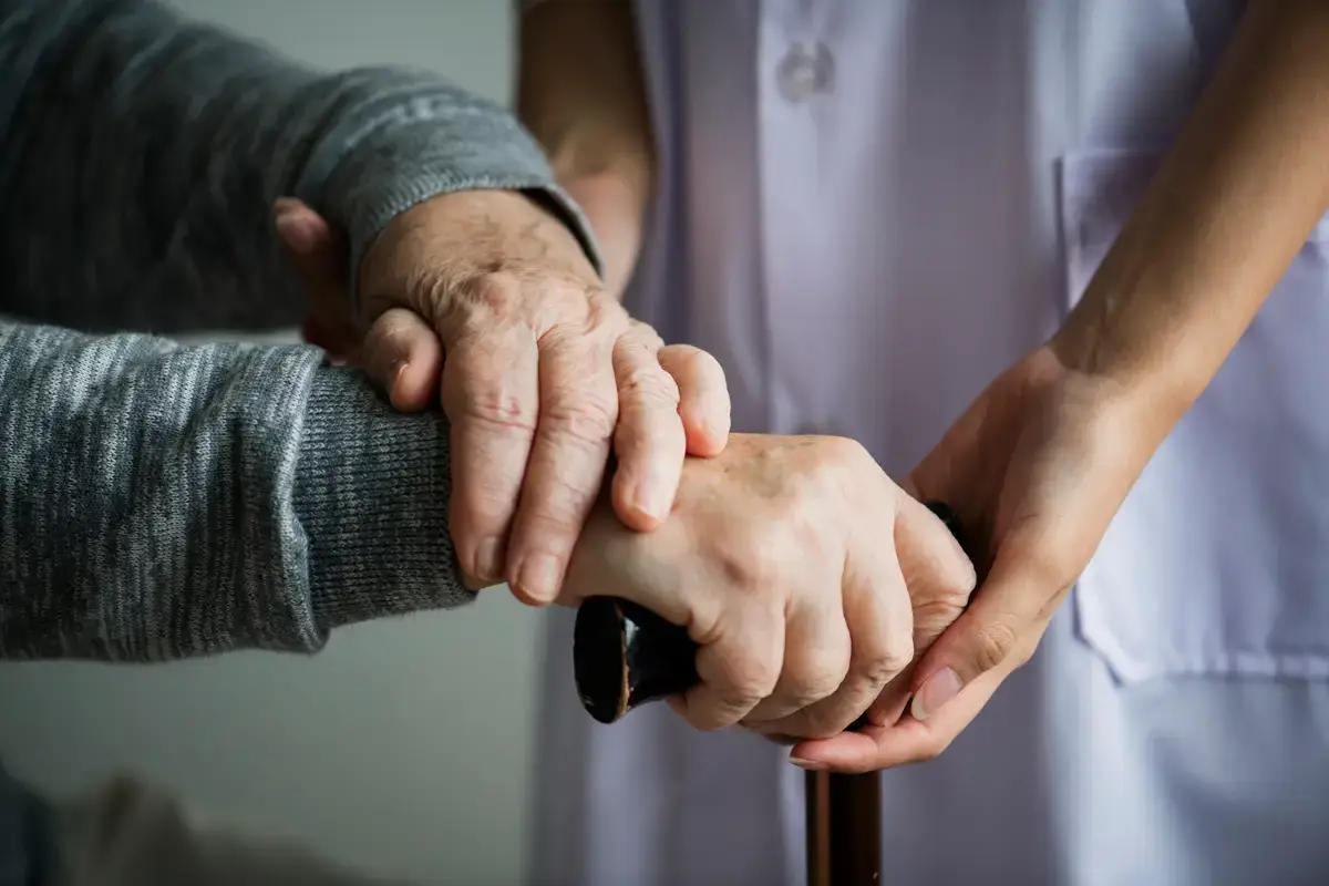 Apoio Domiciliário a Idosos Preços, Serviços e Comparação