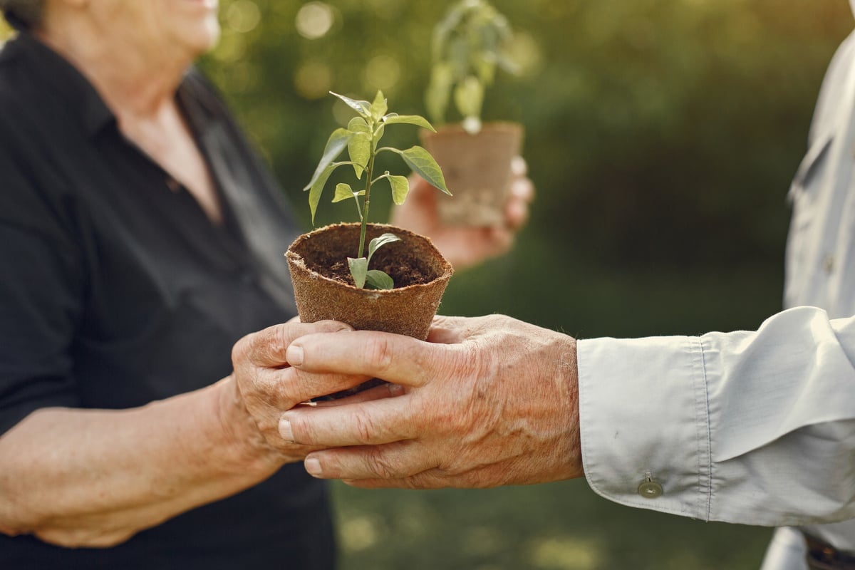 Atividades Sustentáveis para a Terceira Idade