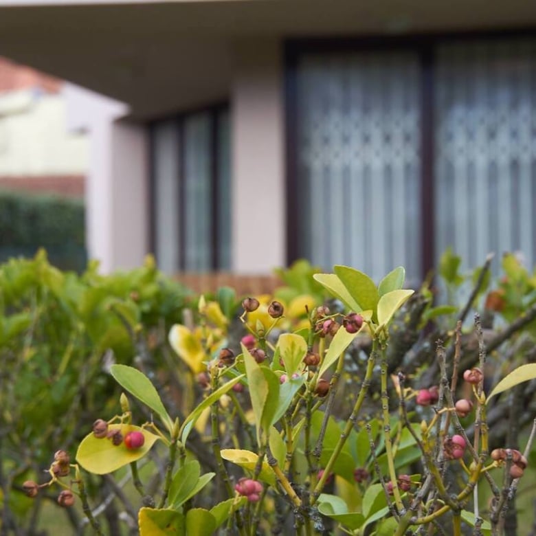 casa-da-luz-residencia-senior-porto-jardim