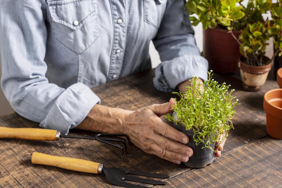 idosos-plantando-flores-em-vaso