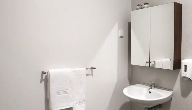 casa-saude-sao-mateus-residence-tondela-wc