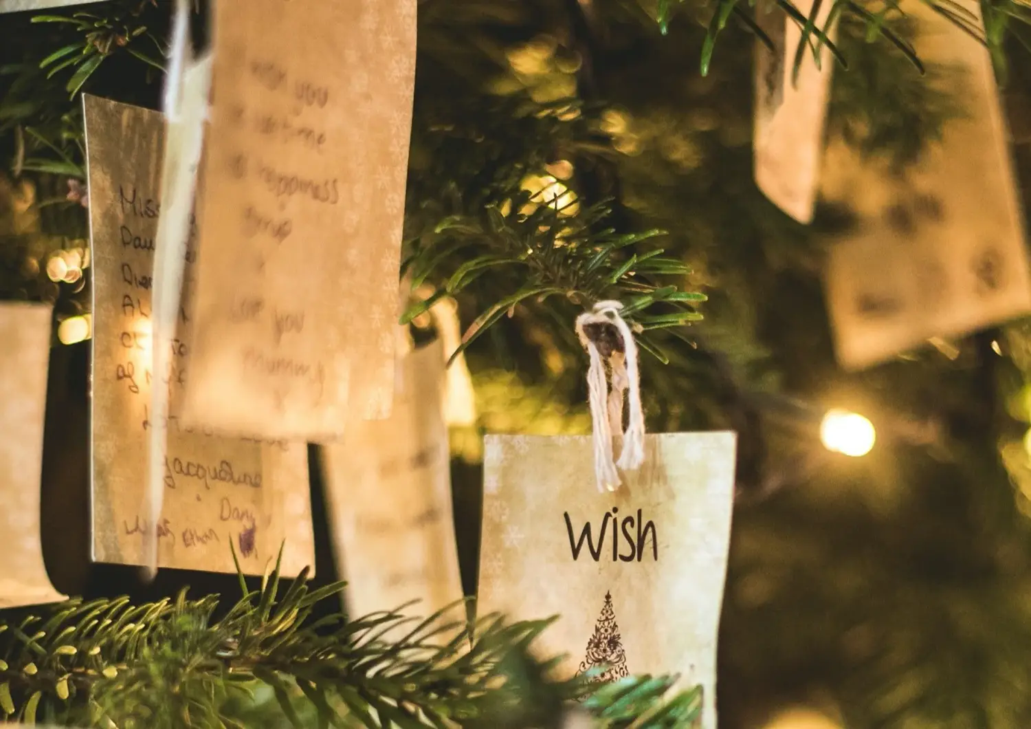 O Papel dos Lares e Instituições